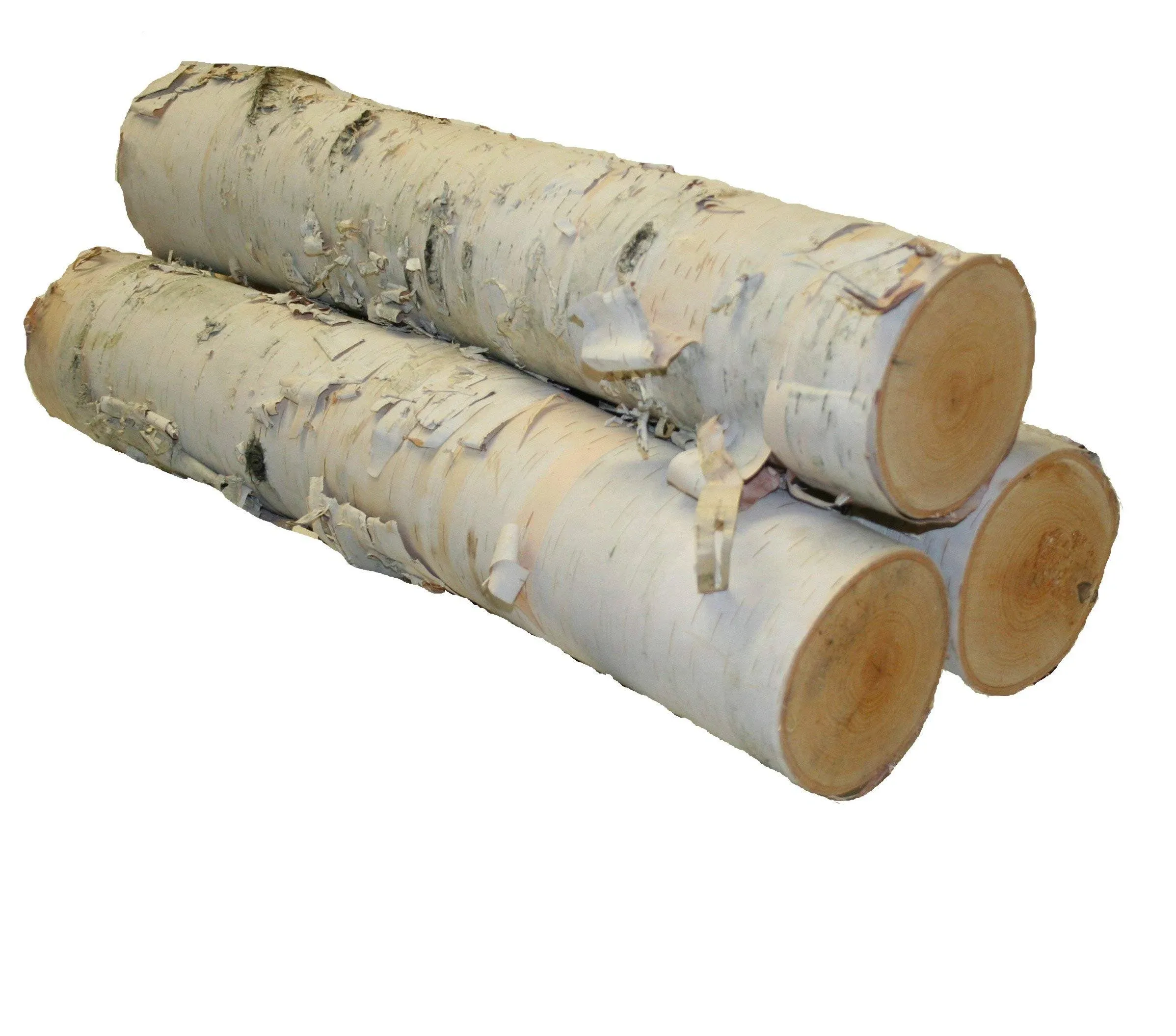 Wilson Enterprises Large White Birch Logs (Set of 3)