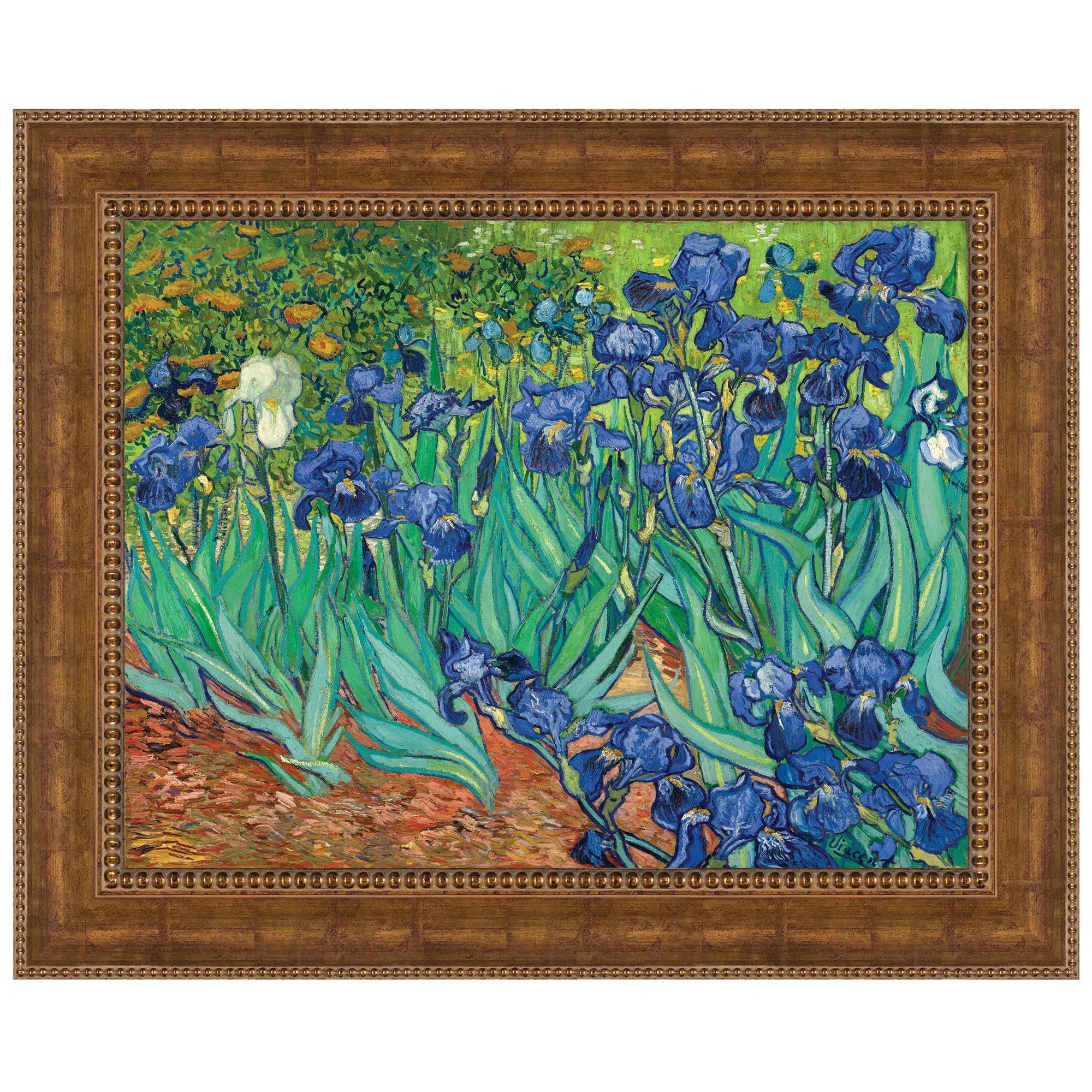 Design Toscano Irises Canvas Replica Painting