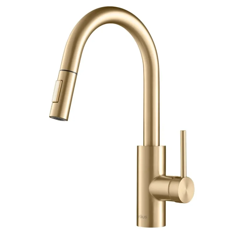 Speakman SB-1042-SS Kitchen-Sink-faucets, Stainless