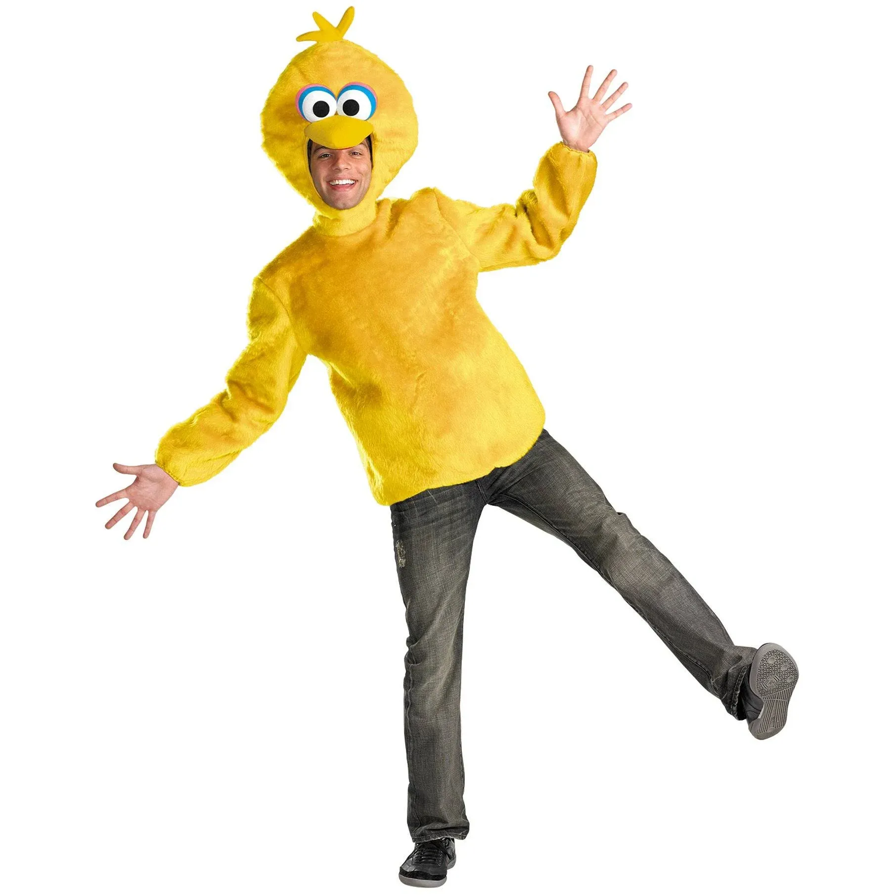 Sesame Street Big Bird Adult Costume