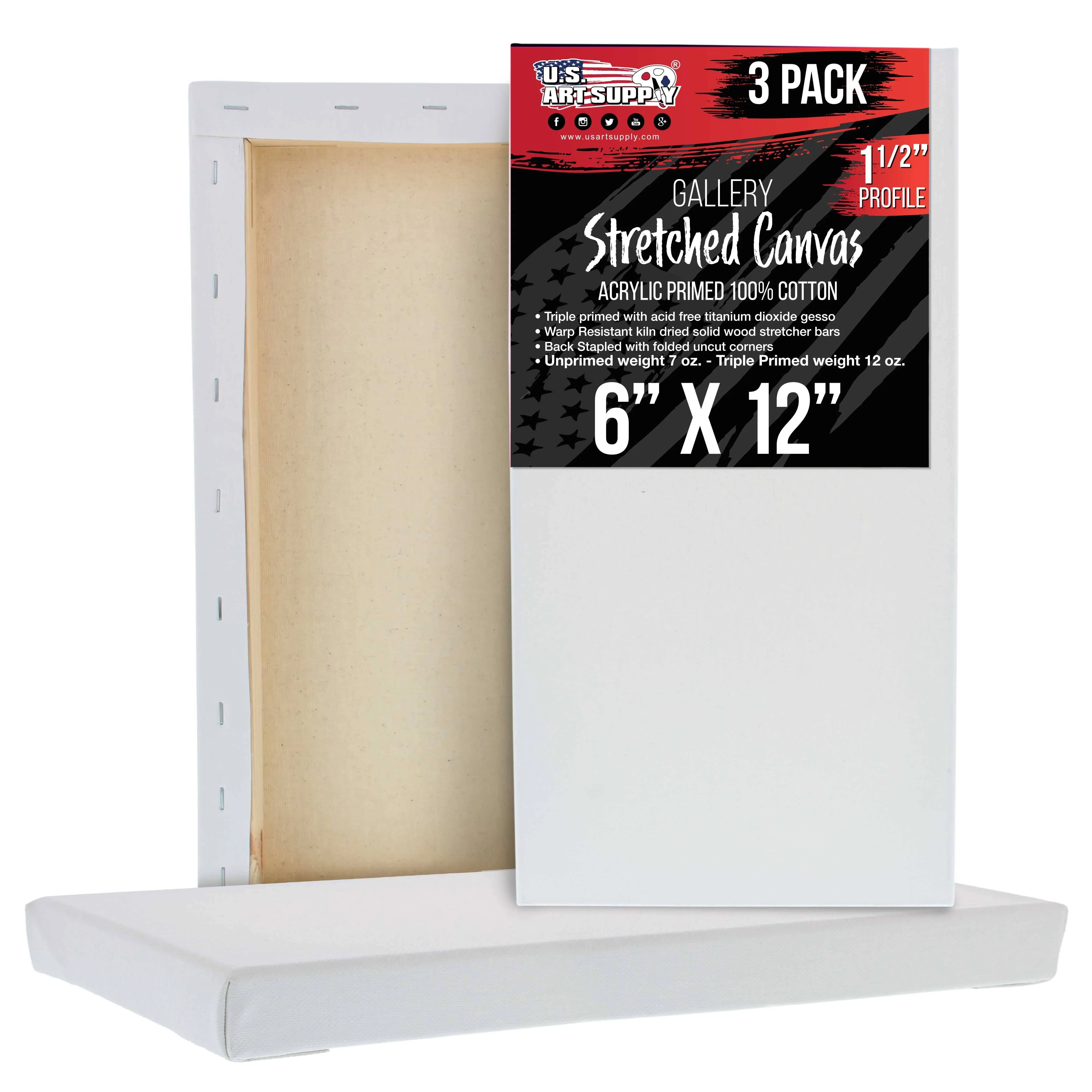 U.S. Art Supply 6 inch x 12 inch Gallery Depth 1-1/2 inch Profile Stretched Canvas 3-Pack - Acrylic Gesso Triple Primed 12-Ounce 100% Cotton Acid-Free