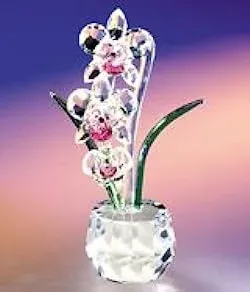 Crystal World Angel Heart Orchid