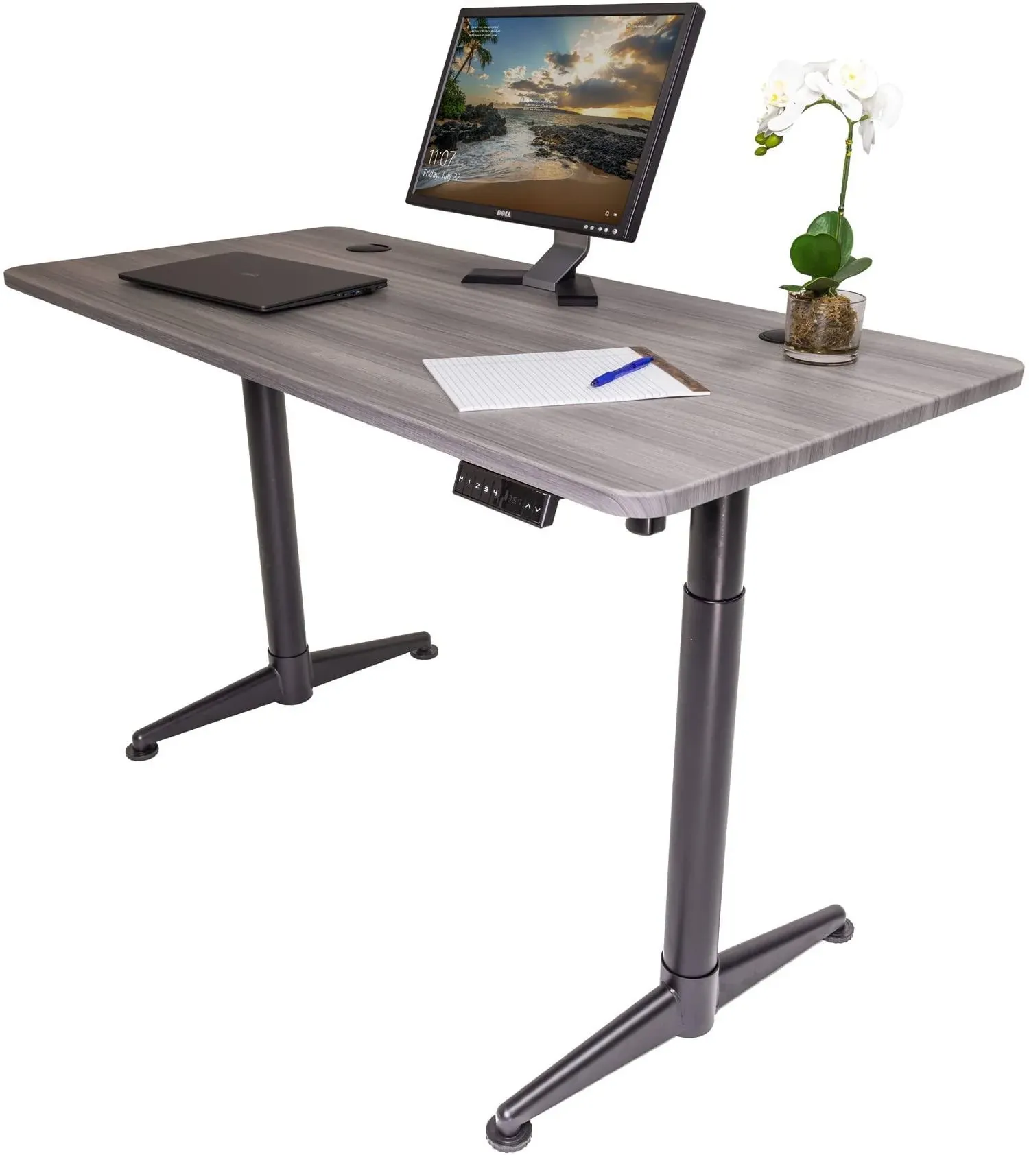 ApexDesk Vortex Series M Edition 60" Electric Height Adjustable Standing Desk