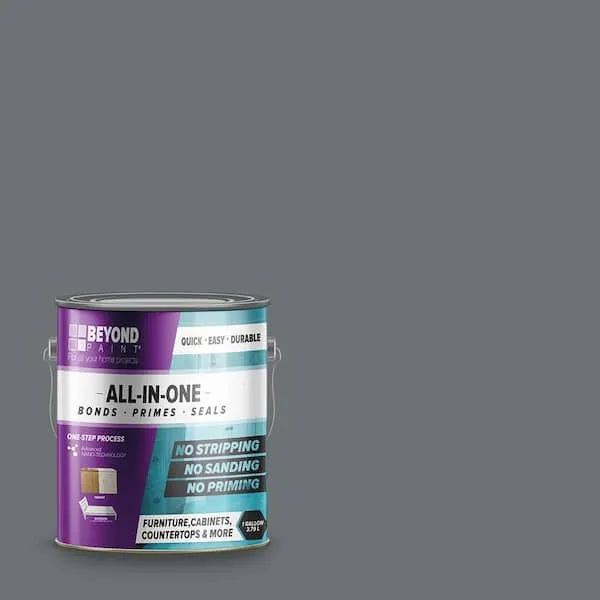 Beyond Paint 1 Gal Pewter All-in-One Paint