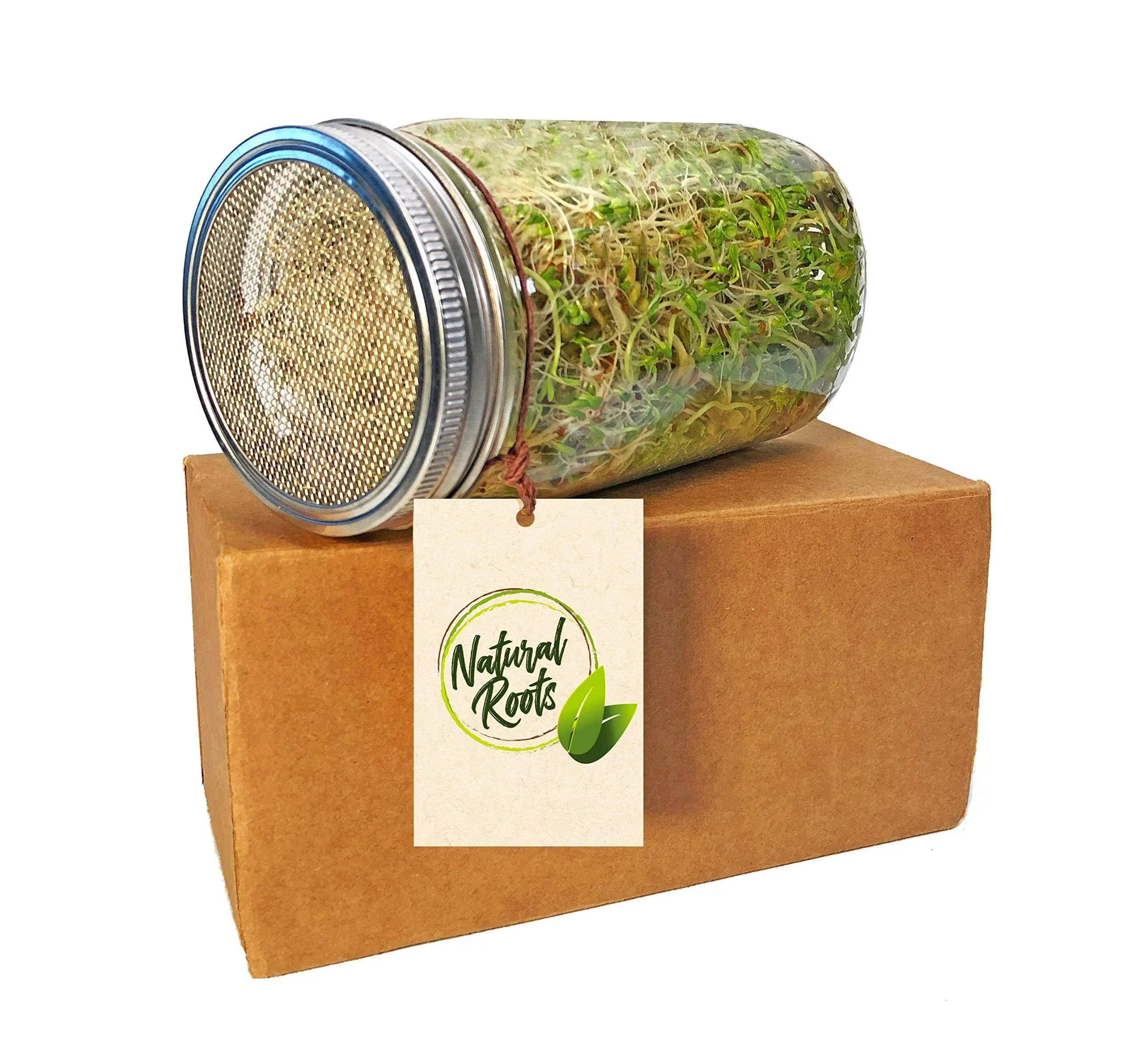 Natural Roots Sprouting Jar