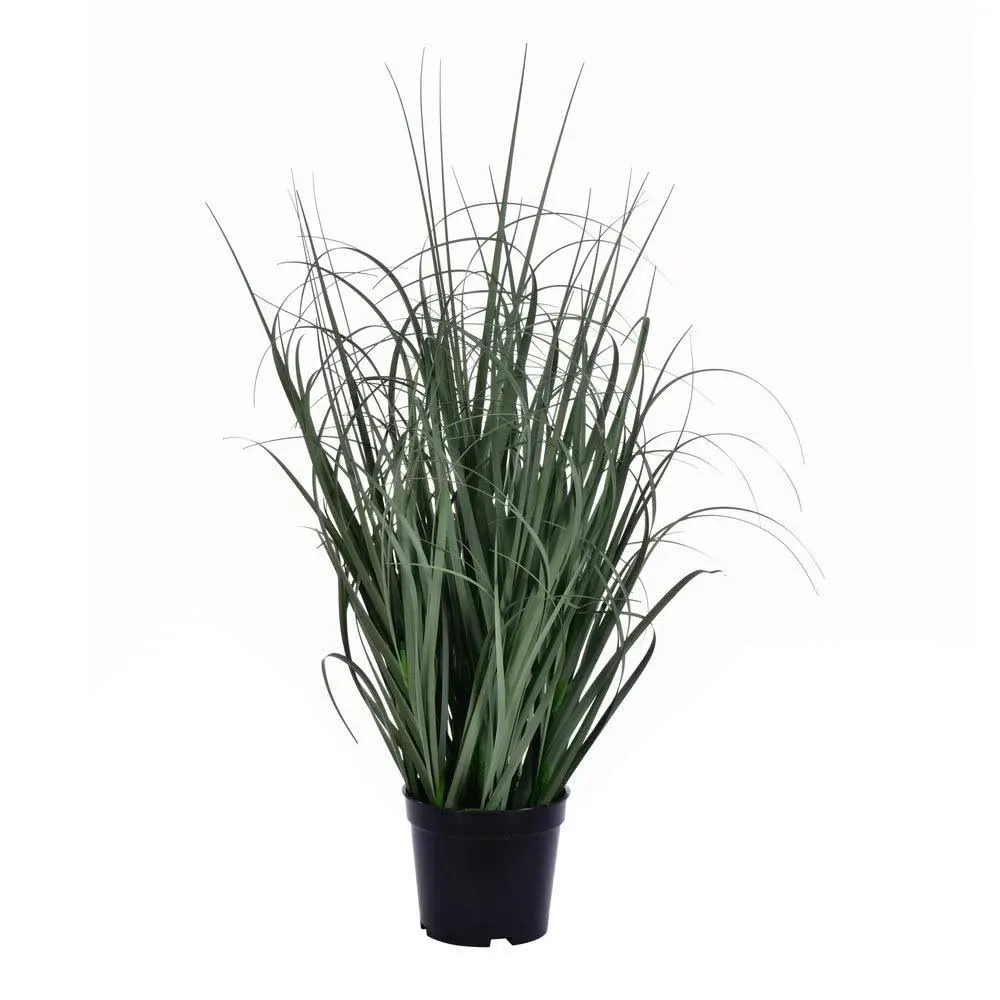 Vickerman 24" Everyday Artificial Green Potted Ryegrass with Black Plastic Pot - Faux Grass Plant Decor - Home Or Office Indoor Greenery Accent - Maintenance Free