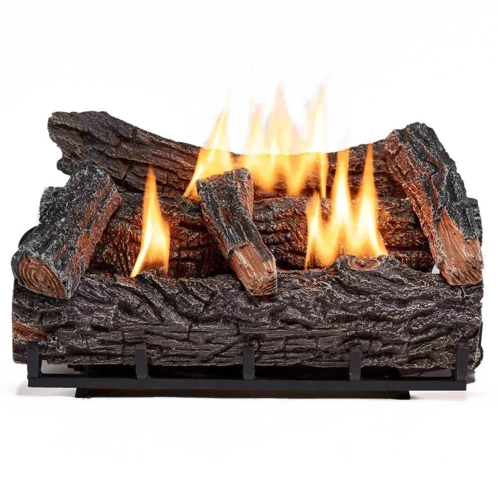 Duluth Forge 22 in. Winter Oak Vent-Free Dual Fuel GAS Fireplace Log Set, 32,000 ...