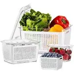 Fresh Container 3pack Produce Saver Container Bpa Free Vegetable Storage Contain