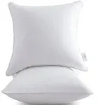 MIULEE 18 x 18 Pillow Inserts Set of 2