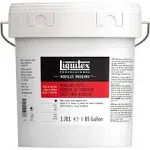 Liquitex Modeling Paste 1 Gallon