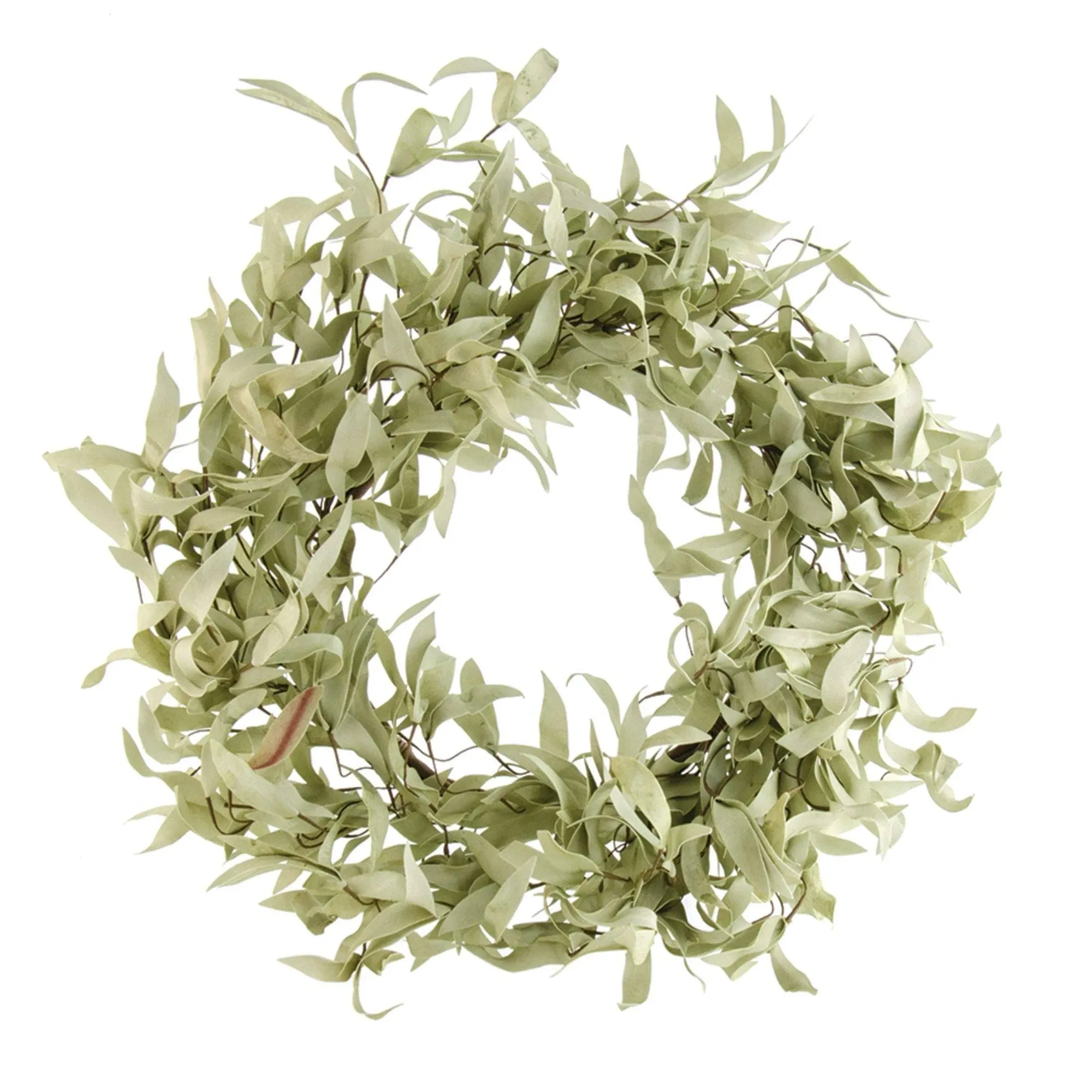 Flocked Leaves Wreath 24"