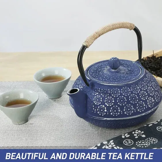 SECHUDO Cast Iron Teapot for Stovetop Safe Coated with Enameled InteriorJapan.<wbr/>..