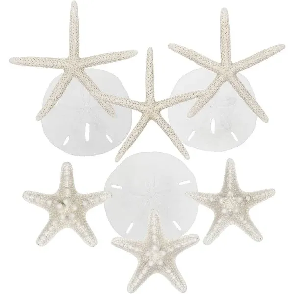 White Starfish and Sand Dollars 4 to 6in Finger Starfish 3 to 3.5in Sand Dollars 3 to 4in Knobby Starfish Set of 9 Real White Starfish Decor