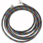 Iwata 10&#039; Braided Hose BT010