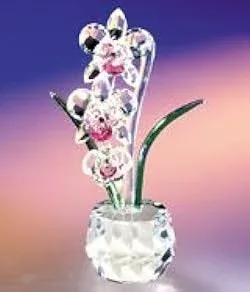 Crystal World Angel Heart Orchid